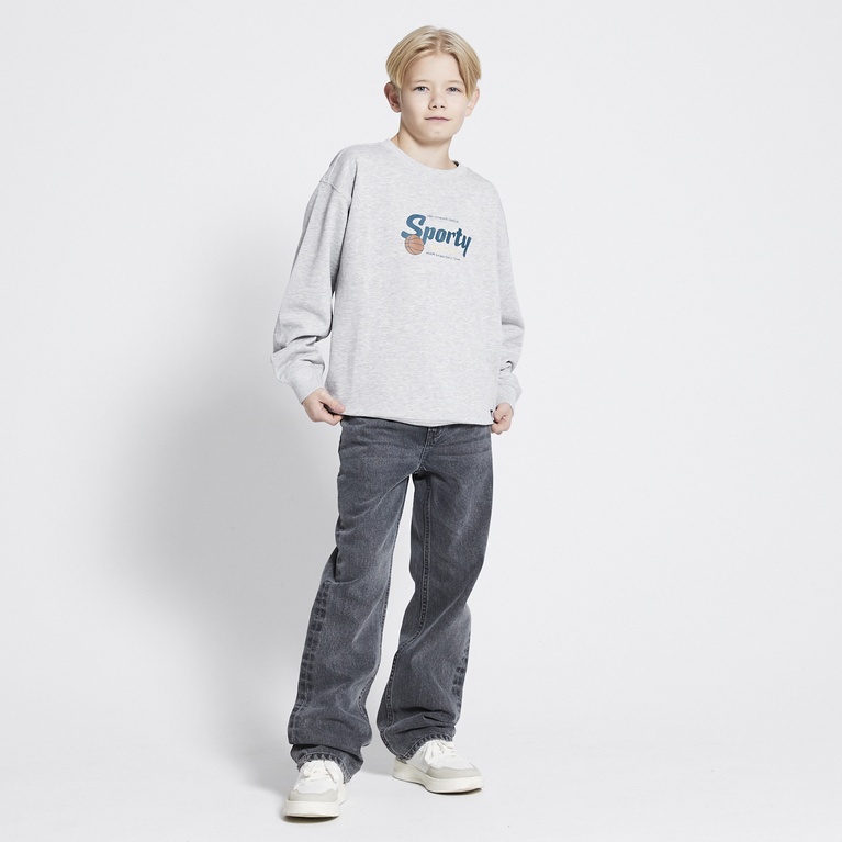 Printed sweatshirt "Liberty"  Grey melange 4